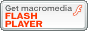 FLASH Player_E[h